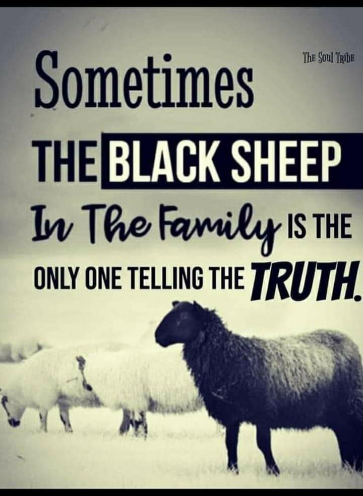 You are not the Black Sheep - They Are | Narcissist Abuse