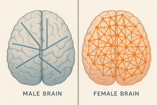 Illustration comparing linear male brain processing with straight pathways versus non-linear female brain processing with interconnected networks